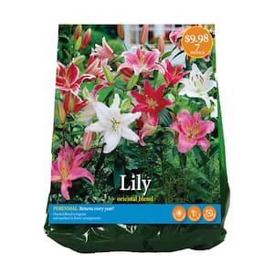 Lily - Flower Bulbs - Garden Flowers - The Home Depot