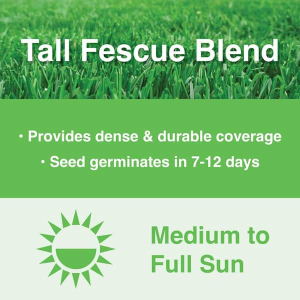 20 lbs. Tall Fescue Grass Seed Blend with Water Saver Seed Coating