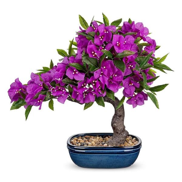 modern plant pots indoor LE TAUCI 12 Inch Pot for Plants, Ceramic Large Planter for Indoor Plan   LETAUCI