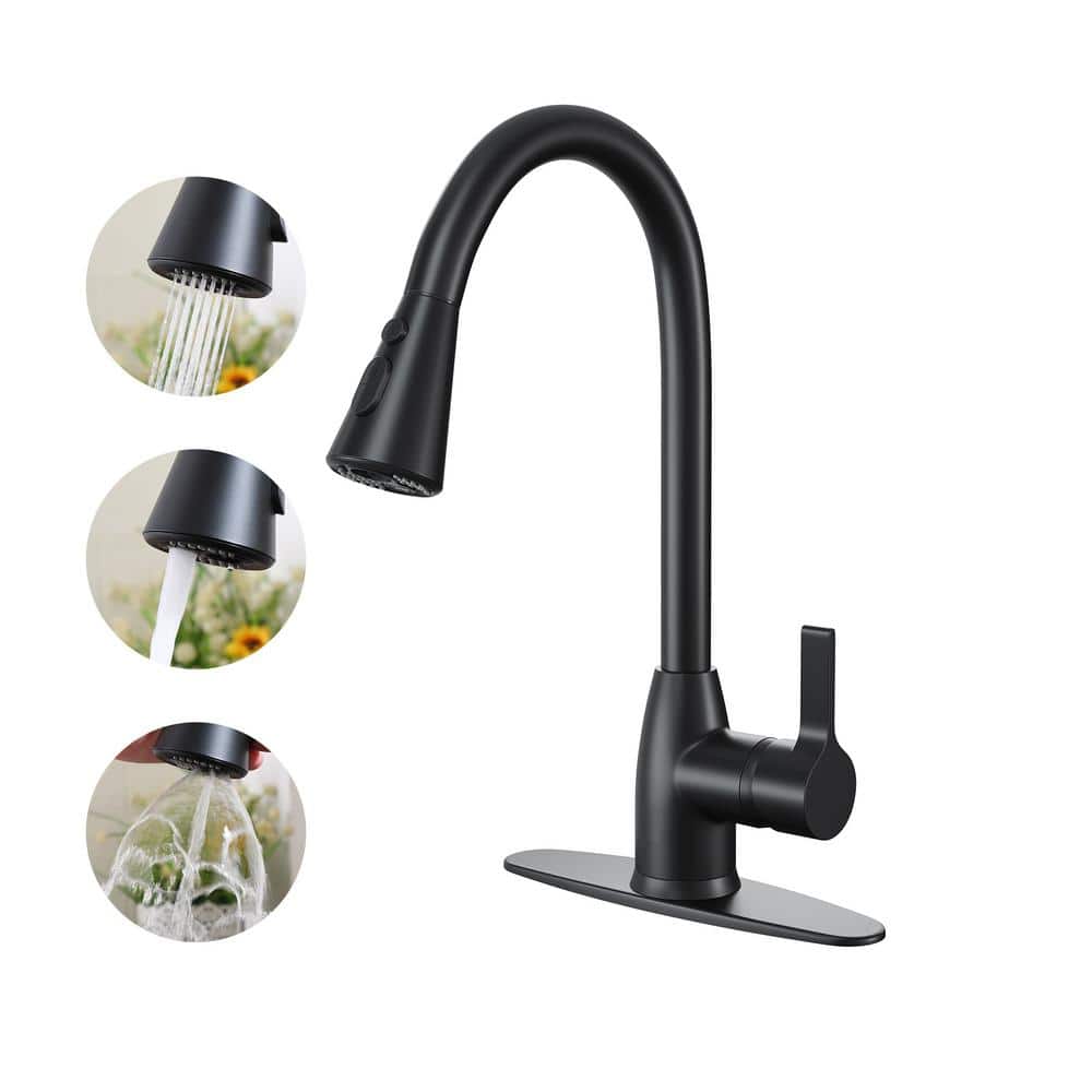 Matte Black Stainless Steel Pull-Down Kitchen Faucet with Spray