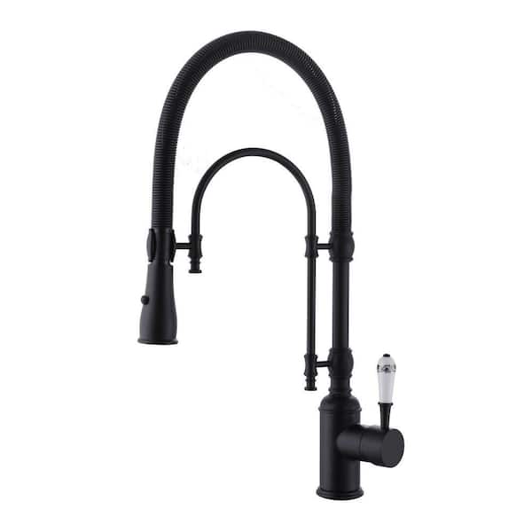 Single Handle 21 in. Kitchen Faucet with Dual Function Pull Down Sprayhead in Matte Black
