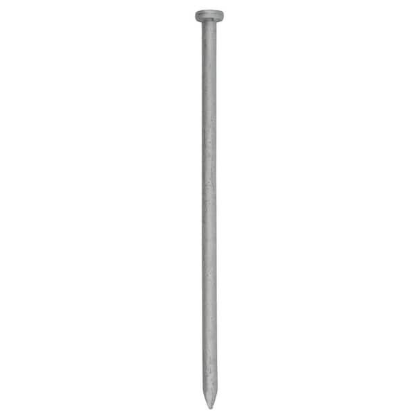 3Inch Galvanized Iron Nail, Fluted Shank, Gauge: 2 Gauge at Rs 250/kg in  Surat