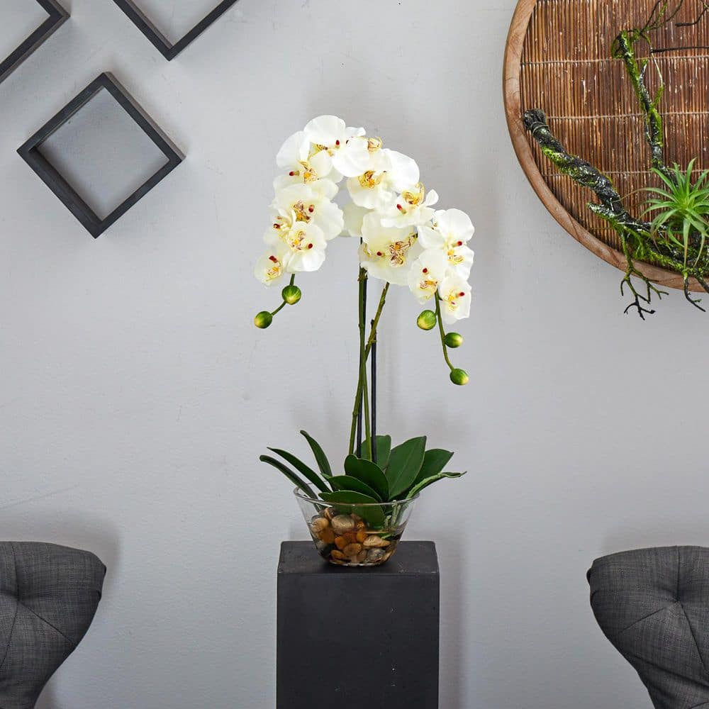 Orchid Elegance 29'' White Phalaenopsis Outdoor Tabletop Arrangement