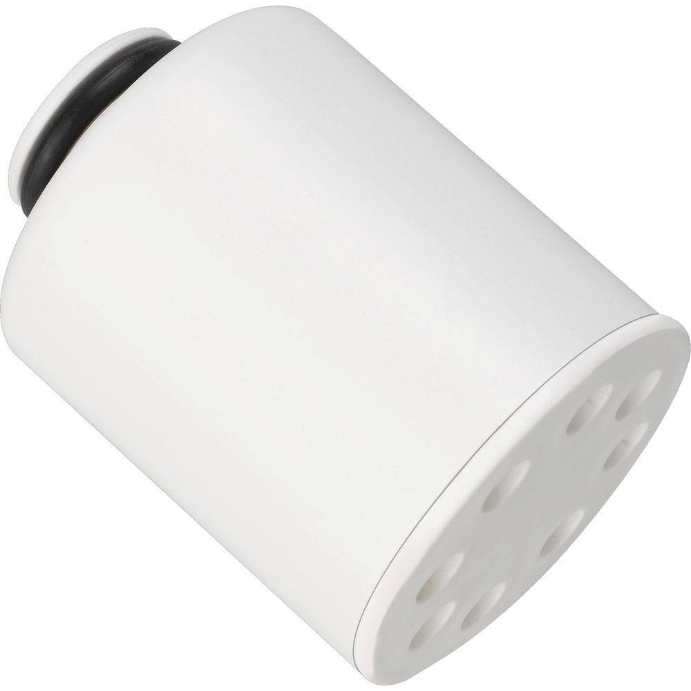 Ge Shower Filtration System Replacement Filter Fxsch The Home Depot