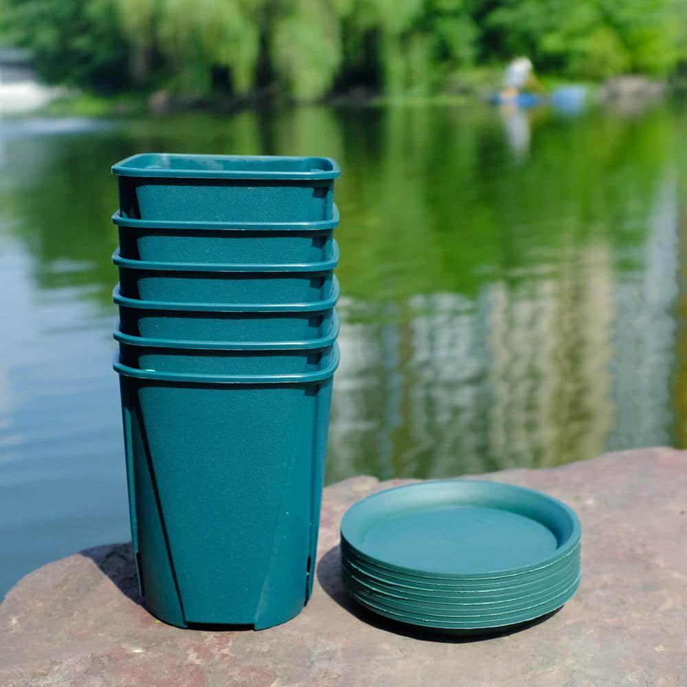 Wellco Small Square OpenTop Plastic Seedling Pot with Tray (10Pack