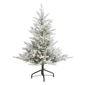 4 ft. Pre-Lit Flocked Fraser Fir Artificial Christmas Tree with 300 Warm White Lights