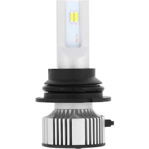  SYLVANIA H1 LED Powersport Headlight Bulbs for Off-Road Use or  Fog Lights - 2 Pack : Automotive