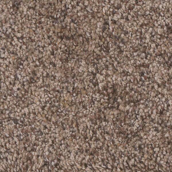 Home Decorators Collection Archipelago II - Time Out - Beige 60 oz. SD Polyester Twist Carpet - Installation Required