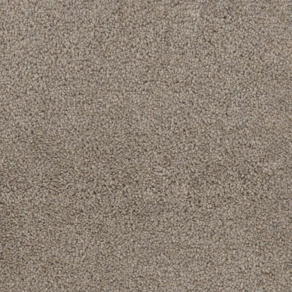 Home Decorators Collection Affectionate I - Smitten - Gray 40 oz. SD Polyester Texture Installed Carpet