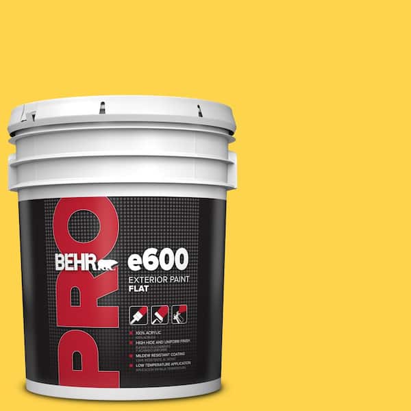 BEHR PRO 5 gal. #370B-6 Vibrant Flat Exterior Paint