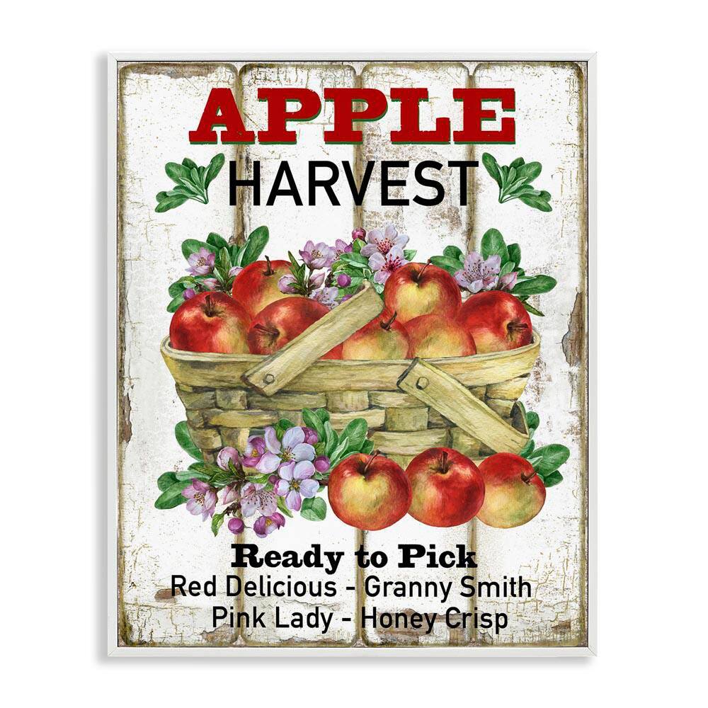 Fresh Apple Harvest by Creatif Belle White Framed Food Giclee Art Print 30 in. x 24 in. price history on PriceWatchPro