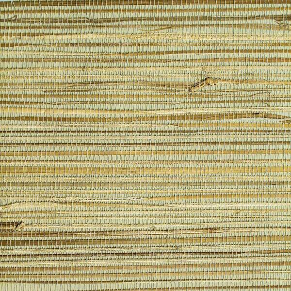The Wallpaper Company 8 in. x 10 in. Grass Raffia Weave Texture Wallpaper Sample-DISCONTINUED