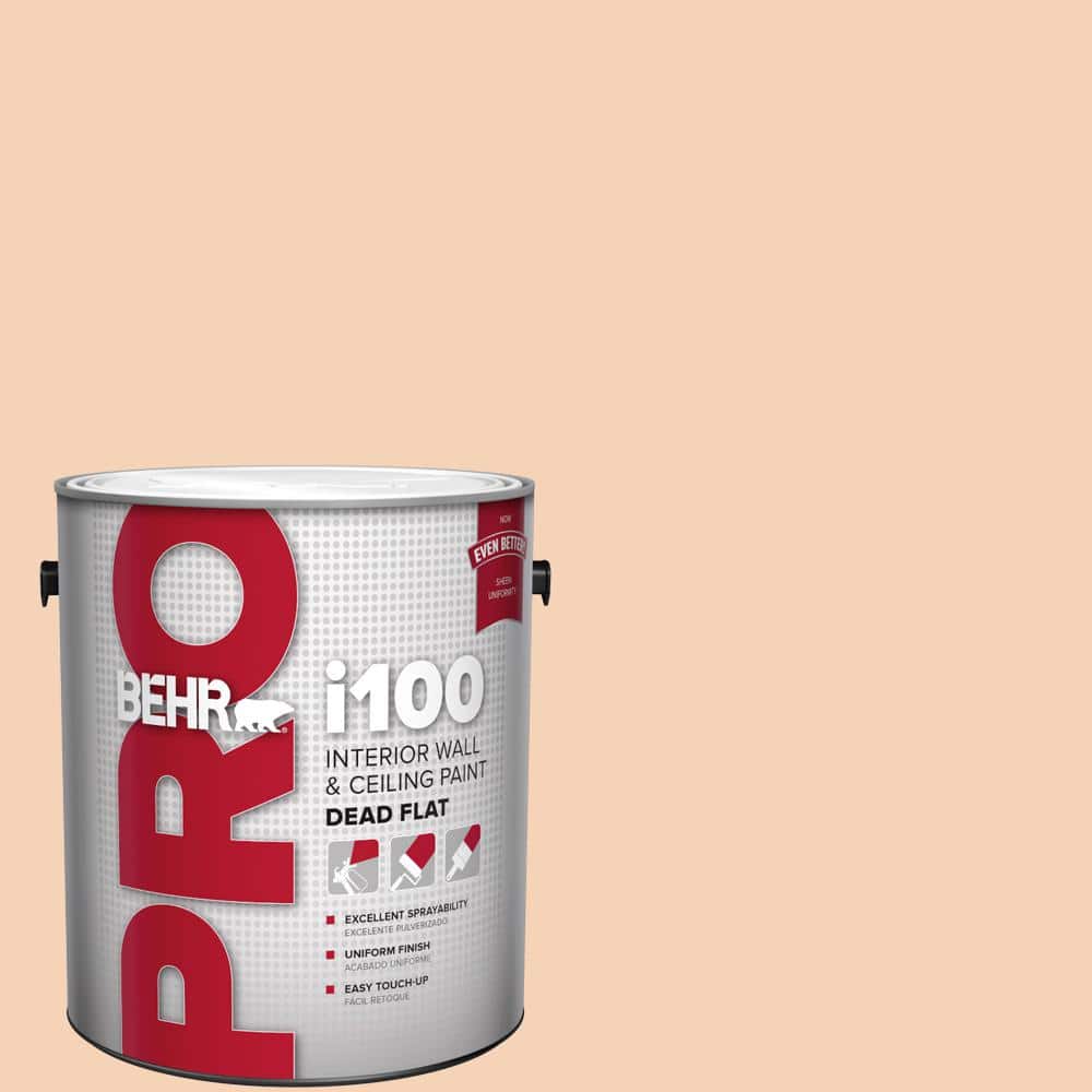 1 gal. #280C-2 Serene Peach Dead Flat Interior Paint price history on PriceWatchPro