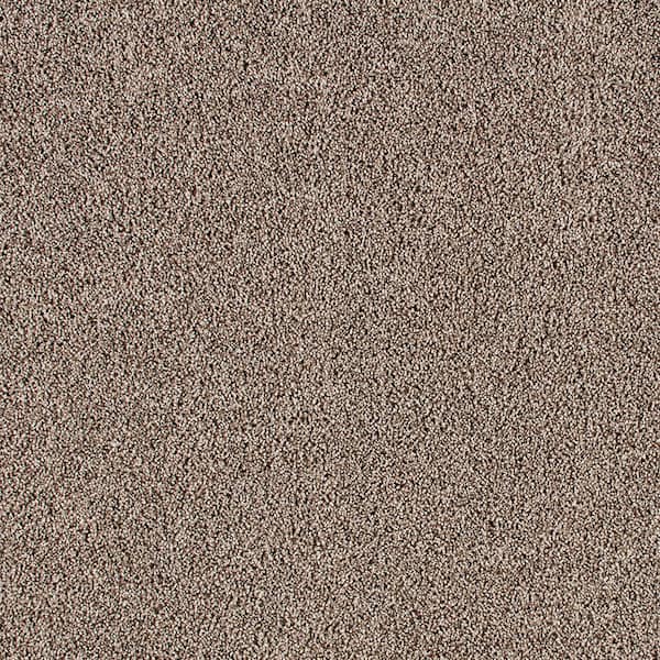 Lifeproof Huntcliff I Country Side Brown 31 oz. Triexta Texture Installed Carpet