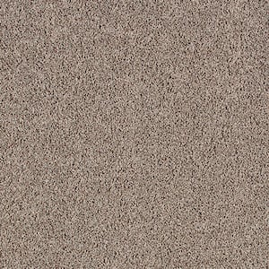 Huntcliff II Country Side Brown 39 oz. Triexta Texture Installed Carpet