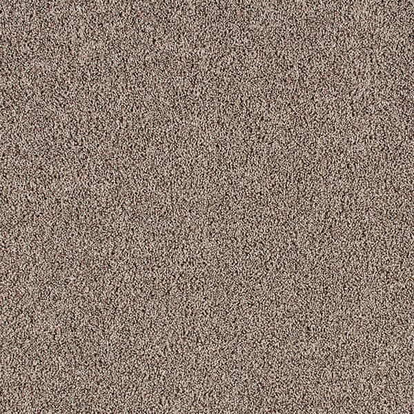 Lifeproof with Petproof Technology Huntcliff I Country Side Brown 31 oz. Triexta Texture Installed Carpet