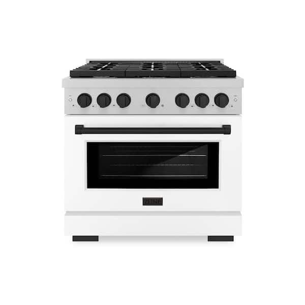 ZLINE Kitchen and Bath Autograph 36 in. Paramount Dual Fuel Range with 6 Burners and Oven in Satin Steel with White and Black Accents