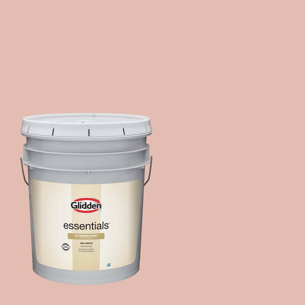 5 gal. PPG1066-4 Adorable Flat Exterior Paint price history on PriceWatchPro