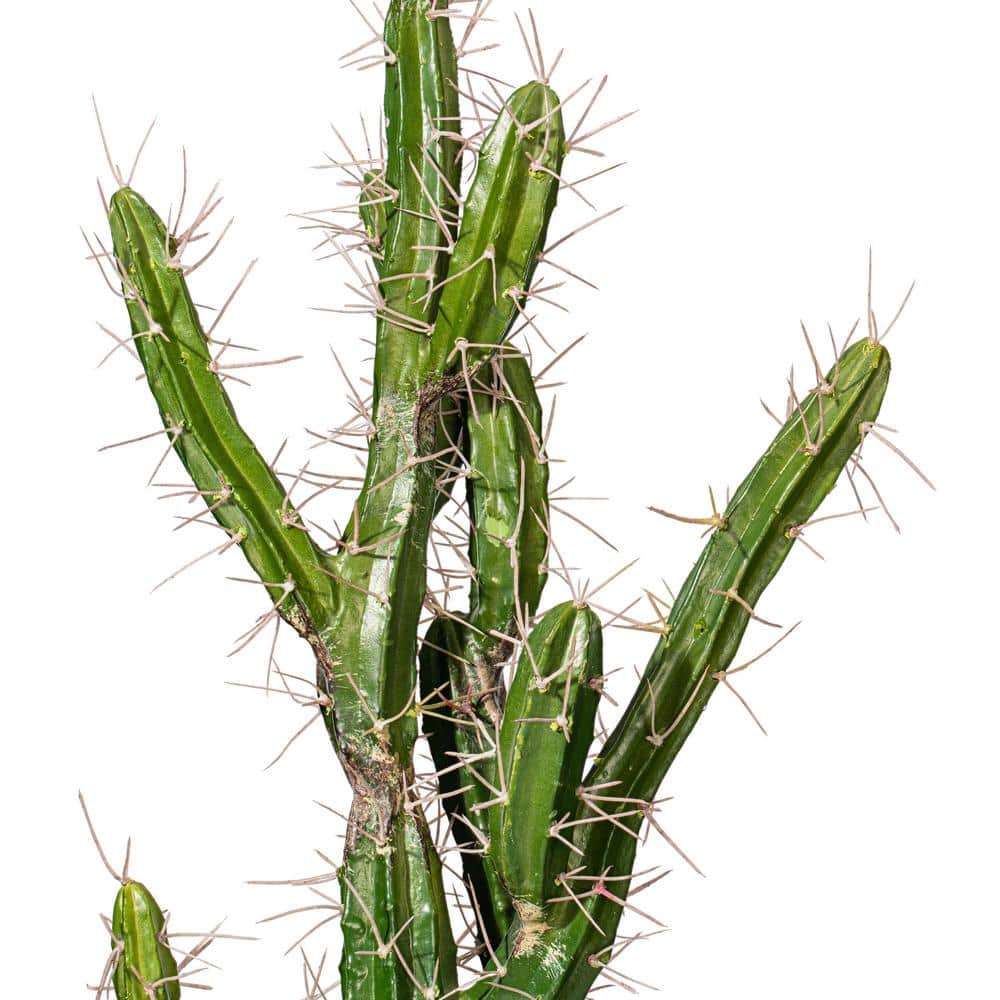 Green Plastic Potted Cactus Arrangement for Outdoor Tabletop