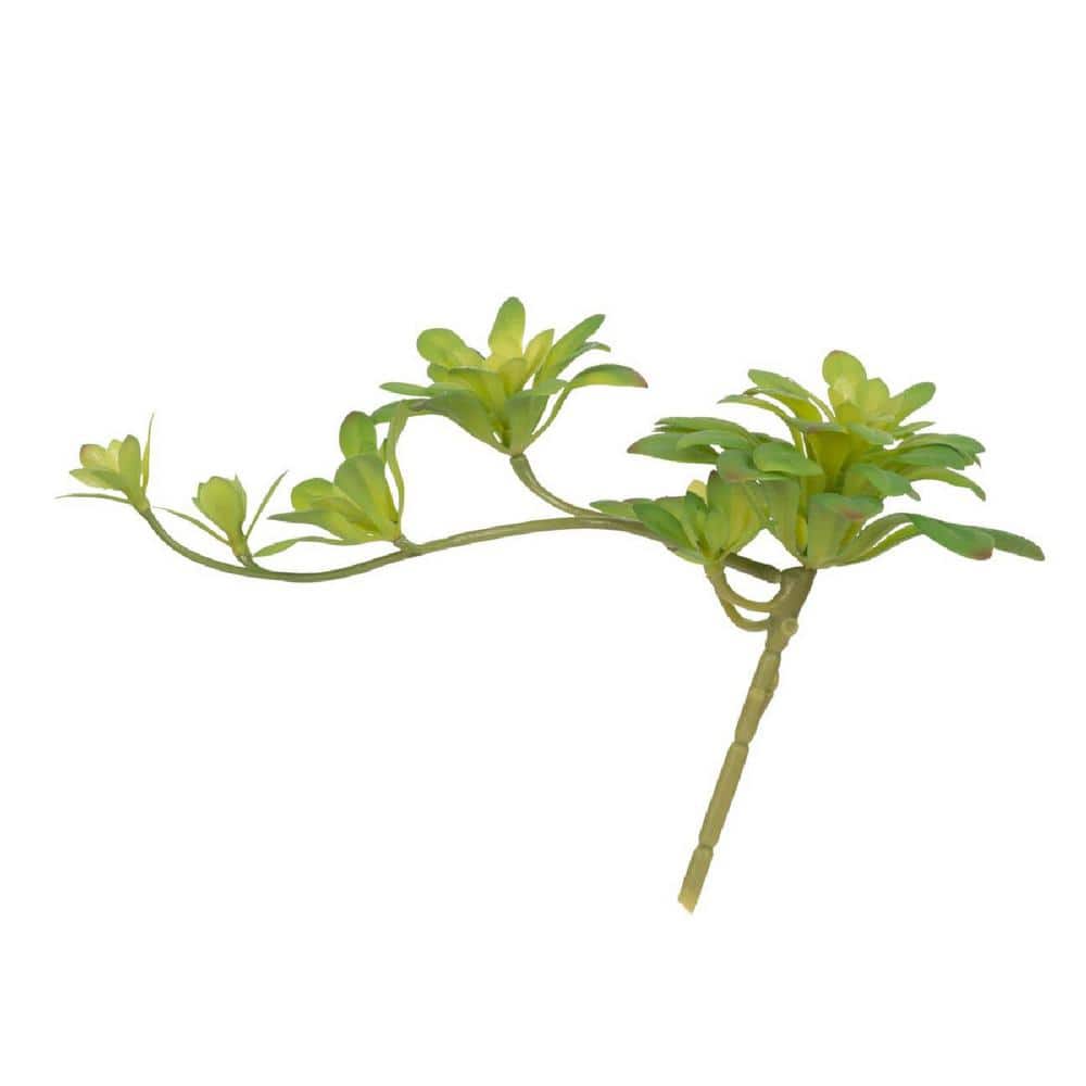Set of 6 Green Faux Double Dudleya Succulents