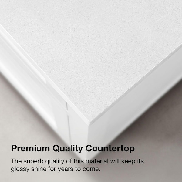 Home Decorators Collection Hanna 24 in. Single Sink White Bath