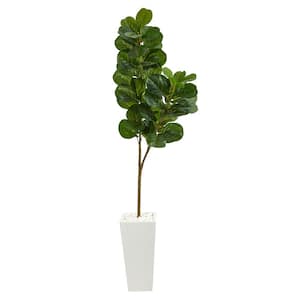 6 ft. Fiddle Leaf Fig Artificial Tree in Tall White Planter