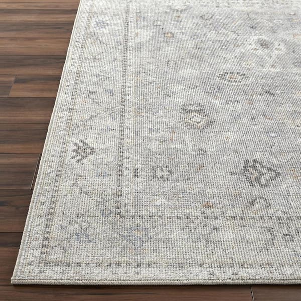 Becki Owens Davina Light Gray 4 ft. x 6 ft. Indoor Area Rug