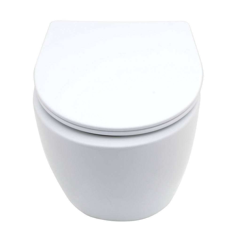Elongated Wall Hung Toilet Bowl with Soft Closing Seat in White (Water Tank Not Included) price history on PriceWatchPro