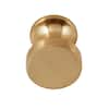 Sumner Street Home Hardware High Desert 1 in. Satin Brass Round