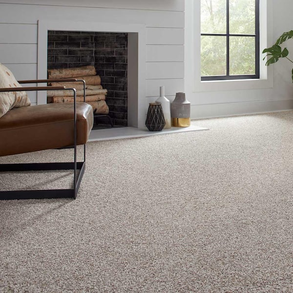 https://images.thdstatic.com/productImages/b926ff9d-fa4e-469b-9572-67200736ca39/svn/white-wash-lifeproof-with-petproof-technology-texture-carpet-0778d-21-12-40_600.jpg