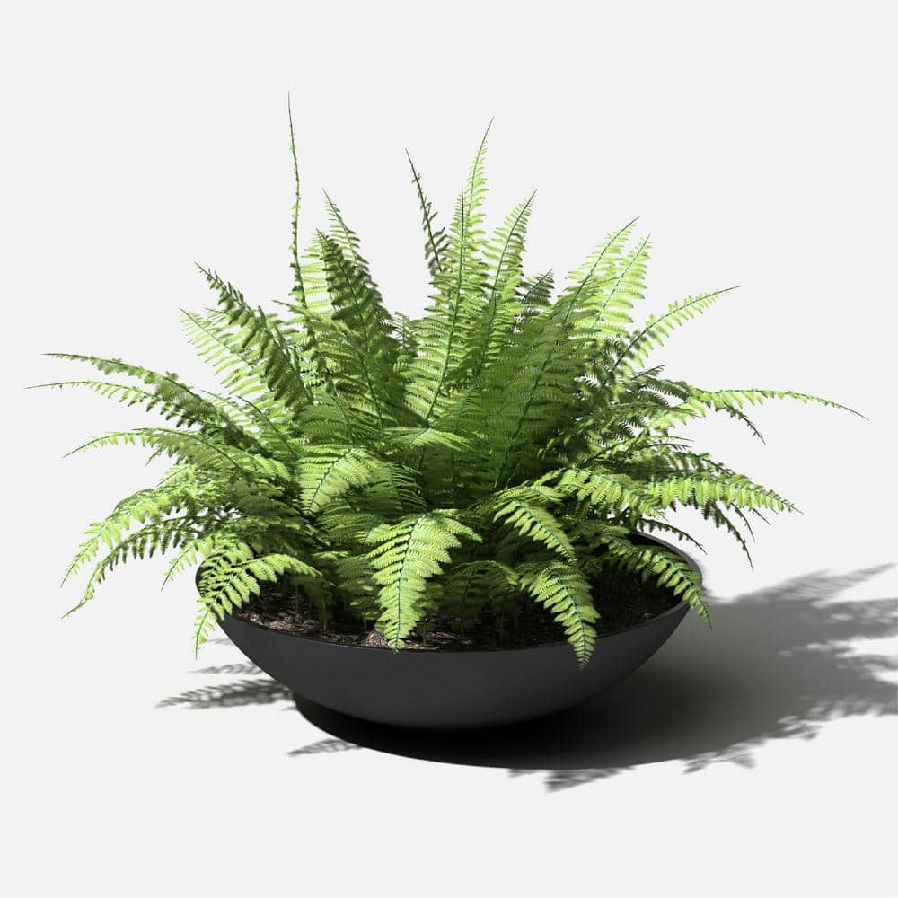 Black 24" Plastic-Stone Round Planter Bowl