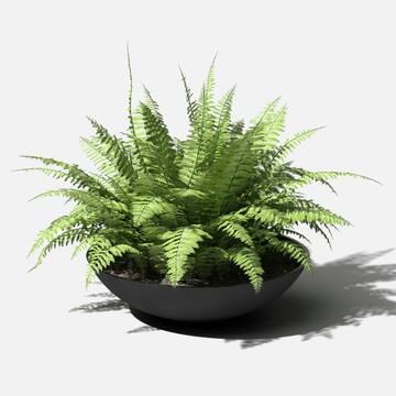 Lane Bowl 24 in. Black Plastic Round Planter
