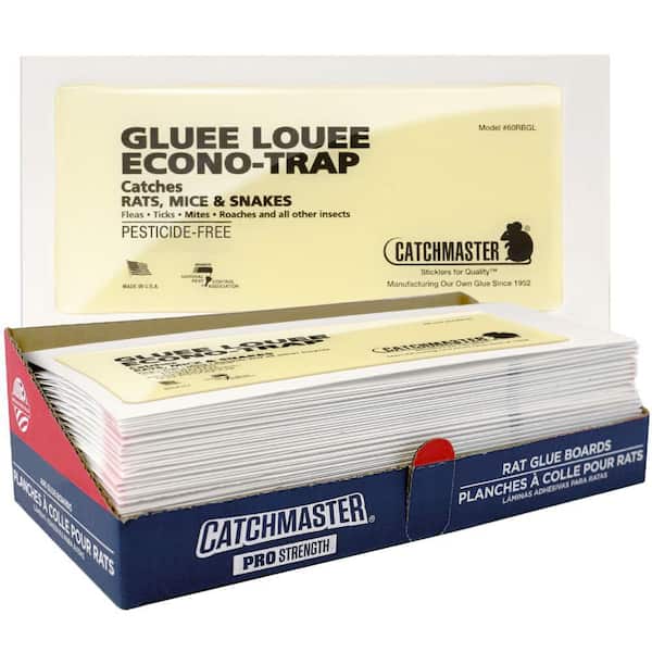 Rat Size Bulk Glue Boards (30-Pack)