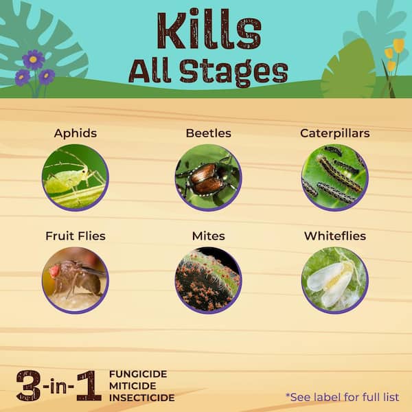 Bonide - Captain Jack's Neem Oil, 32 oz Ready-to-Use Spray, Multi-Purpose Fungicide, Insecticide and Miticide