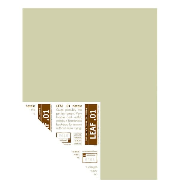 YOLO Colorhouse 12 in. x 16 in. Leaf .01 Pre-Painted Big Chip Sample