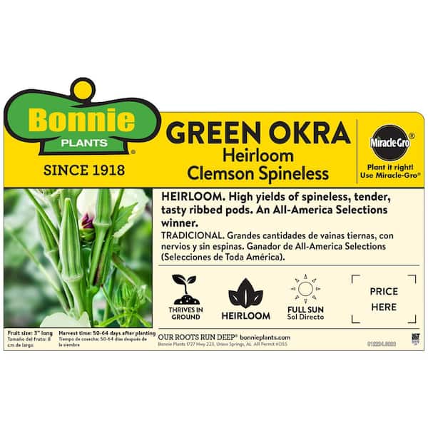19 oz. Clemson Spineless Green Okra Vegetable Plant