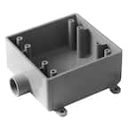 2-Gang 32 cu. in. 1/2 in. PVC Type 2FSE FS Box