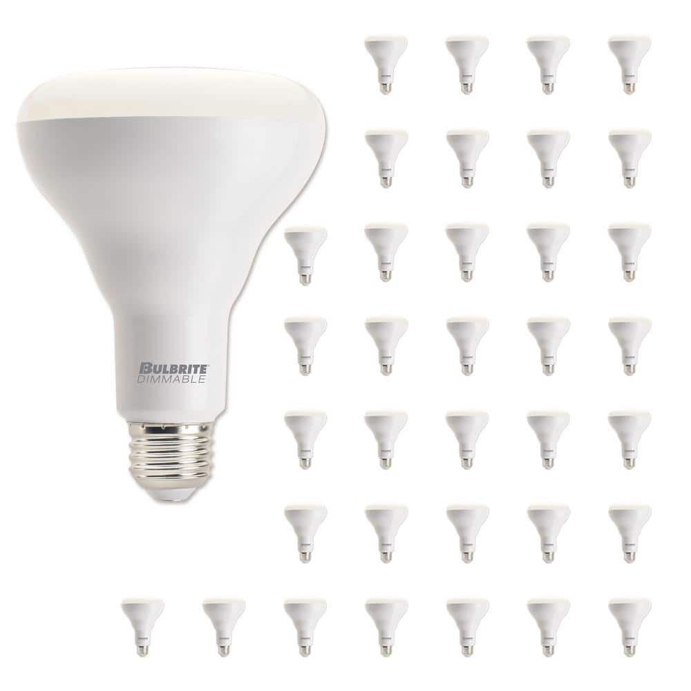 65-Watt Equivalent BR30 Medium Screw LED Light Bulb Soft White Light 3000K 