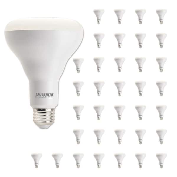 65-Watt Equivalent BR30 Medium Screw LED Light Bulb Soft White Light 3000K (36-Pack)