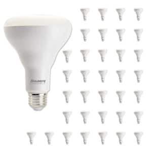 65-Watt Equivalent BR30 Medium Screw LED Light Bulb Soft White Light 3000K (36-Pack)