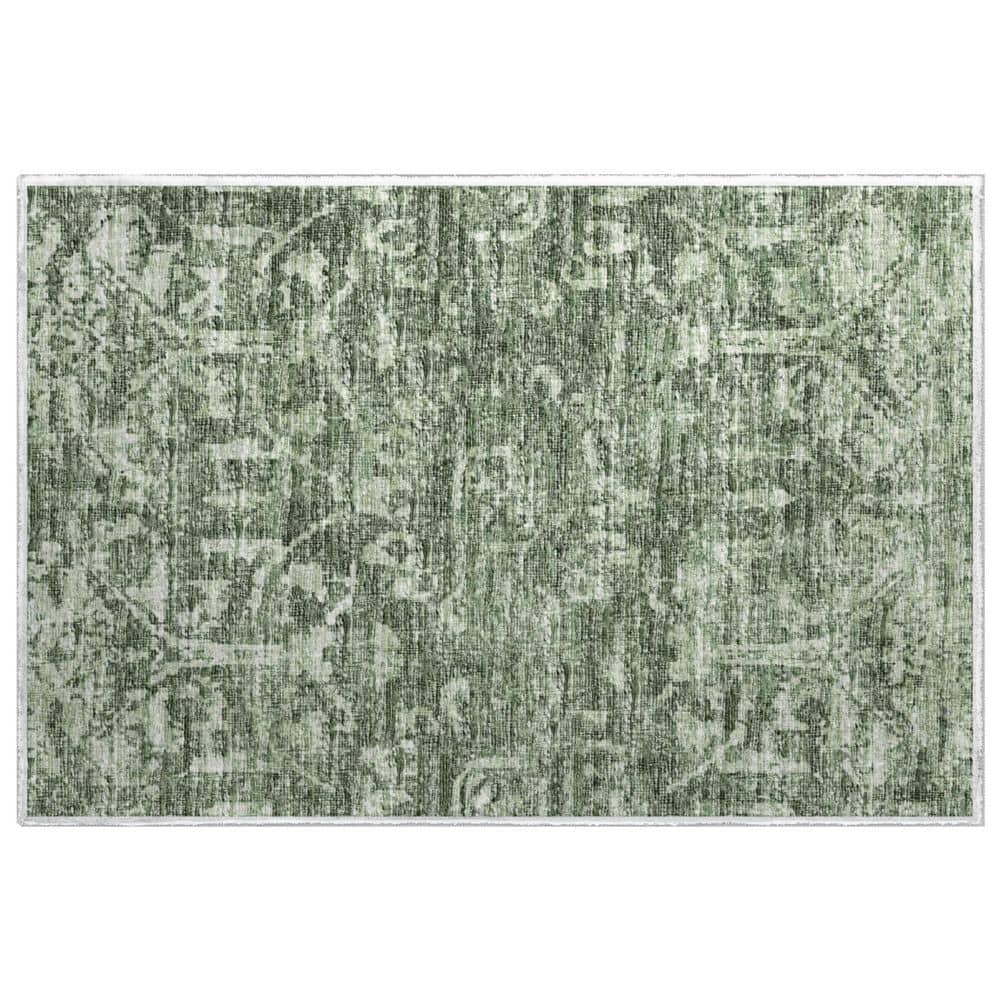 Dream Shag Premium Machine Washable Abstract ADS40 Green 2 ft. x 3 ft. Accent Rug price history on PriceWatchPro