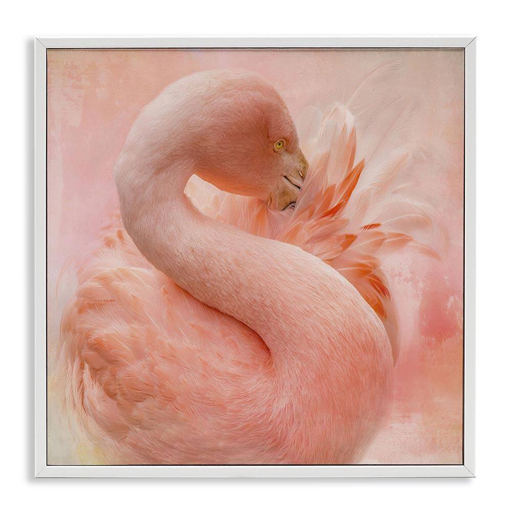 Cocoon of Plumage by Kelley Parker White Framed Animal Giclee Art Print 24 in. x 24 in. price history on PriceWatchPro