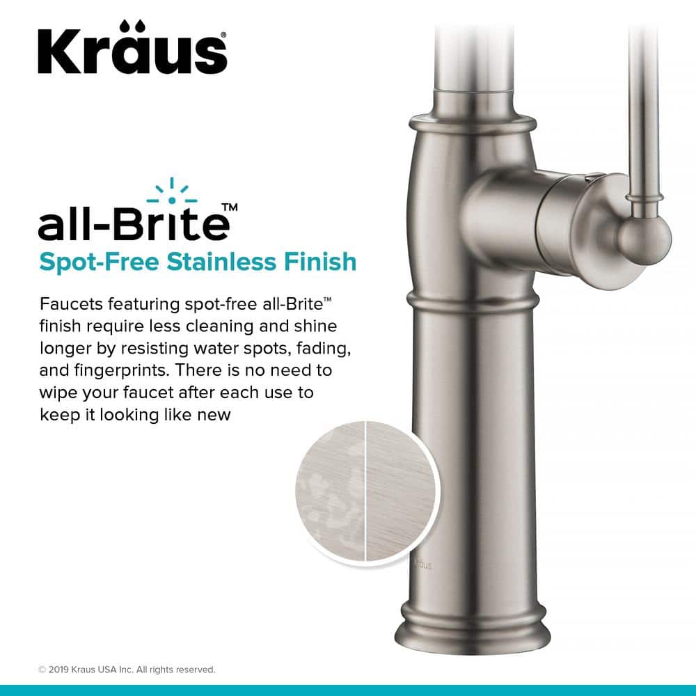 Sellette Pull Down Single Handle Kitchen Faucet
