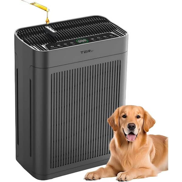 Air Purifiers for Home Large Room Up to 3000 sq. ft. with Washable Filters, H13 HEPA, Dual-Sided Air Intake, Black