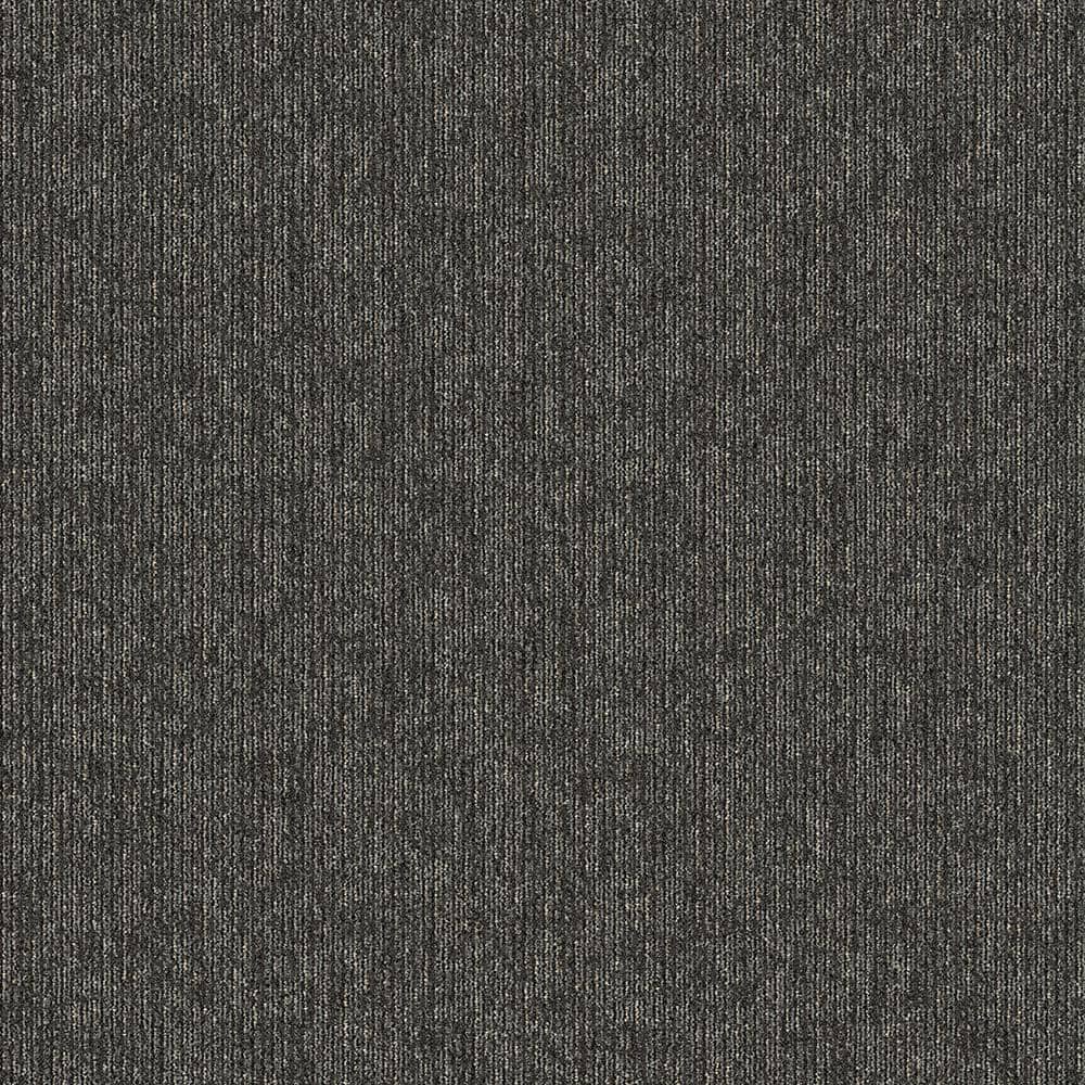 6 in. x 6 in. Textured Carpet Sample -Crescent Creek -Color On Demand price history on PriceWatchPro