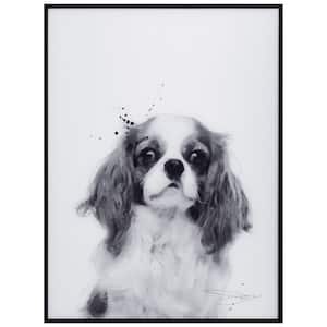 "King Charles Spaniel" Black and White Pet Paintings on Printed Glass Encased with a Gunmetal Anodized Frame