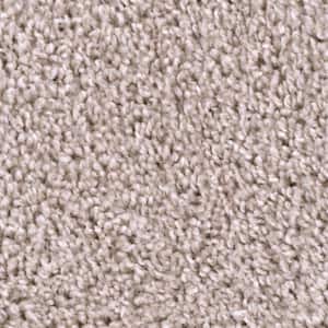 8 in. x 8 in. Texture Carpet Sample - Founder -Color Master