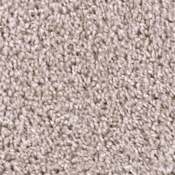 Trafficmaster 8 In X Texture Carpet Sample Founder Color Master Ph 288080 The