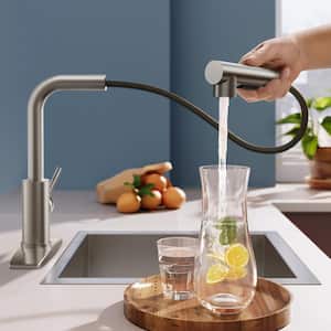 Single-Handle Kitchen Sink Faucet with Pull Down Sprayer Kitchen Faucet in Brushed Nickel