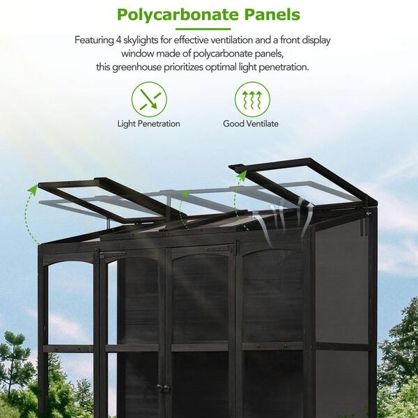 Unbranded - 29.1 in. W x 57.9 in. D x 78.1 in. H Black Walk-in Greenhouse Cold Frame with 4 Skylights and 2 Shelves